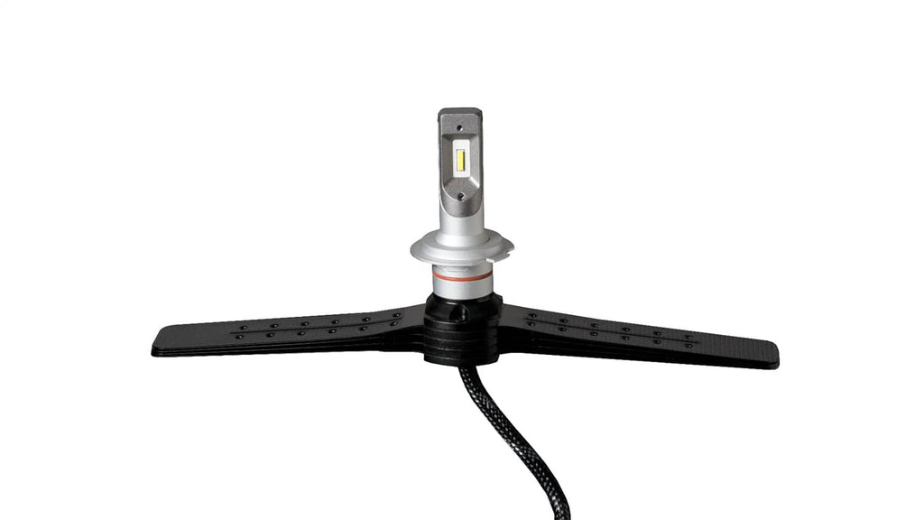 PUT-F1-H10_01.jpg