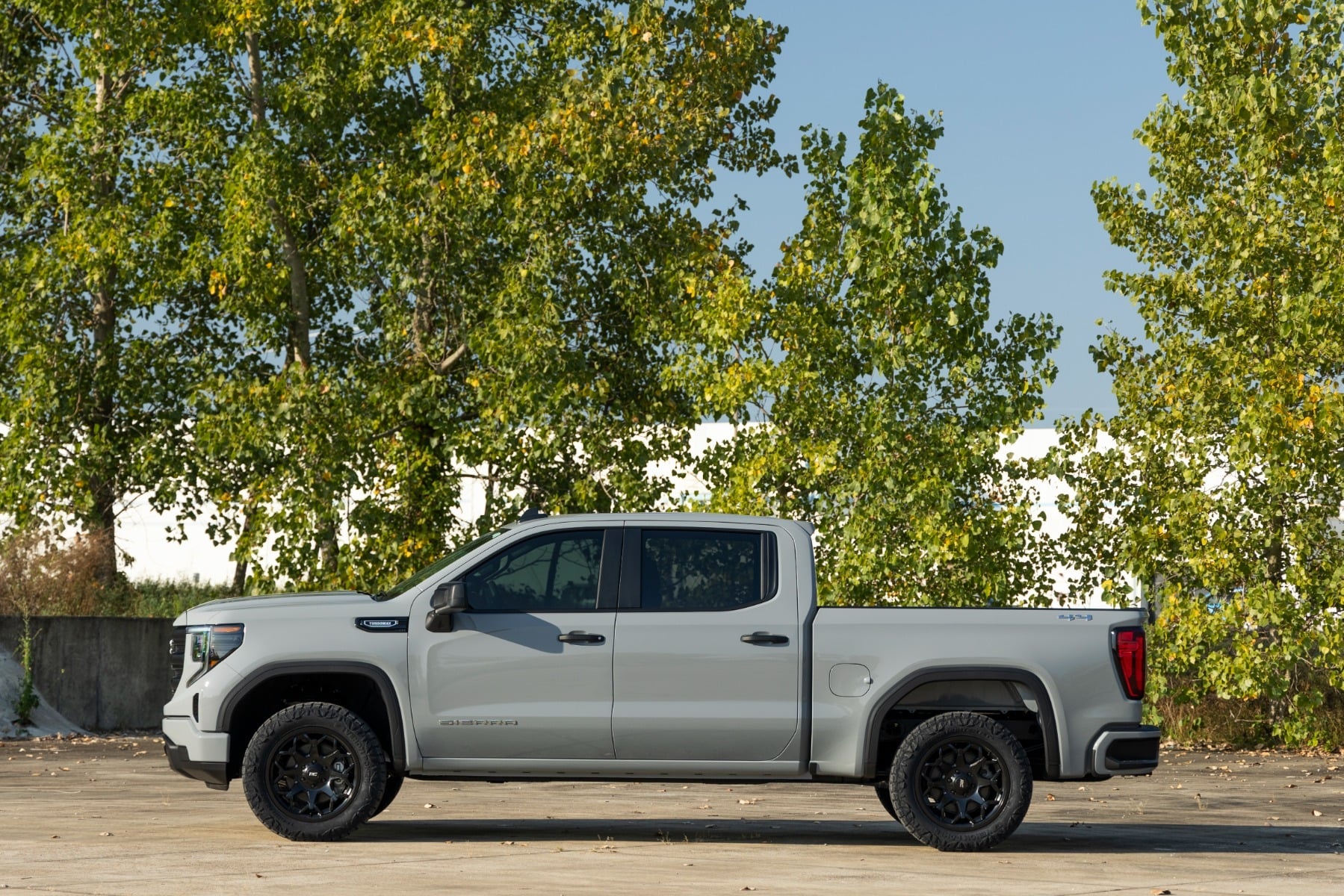N3 Leveling Struts | 2 Inch | Loaded Strut | Chevy/GMC Sierra 1500 (19 ...